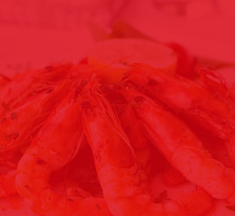 SEAFOOD