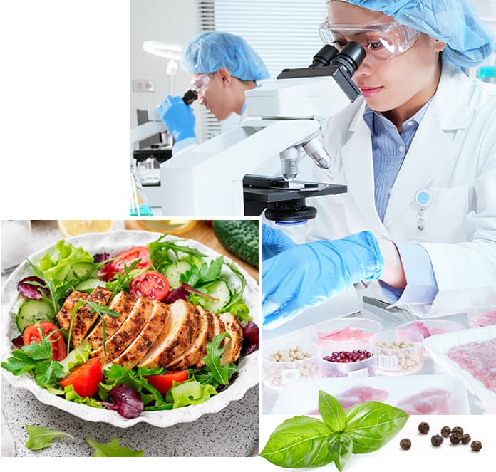 Food Safety Program