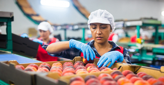 Three Important Things You Need to Know About Food Supply Chain Disruption (And What It Means for Your Business)
