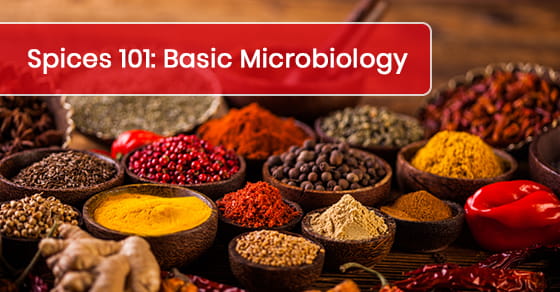 Les bases des épices : Microbiologie