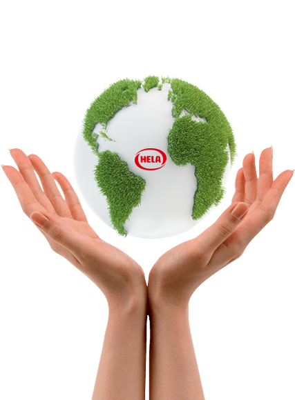 Sustainability