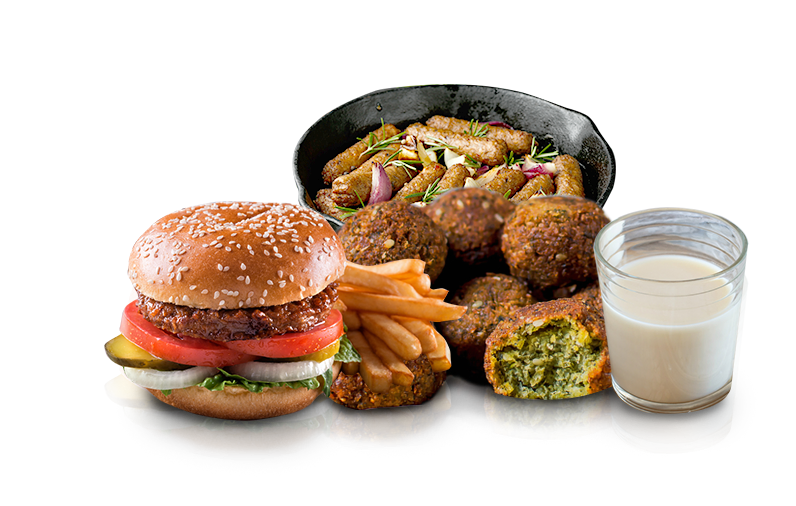 Hela Spice vegetarian delight products