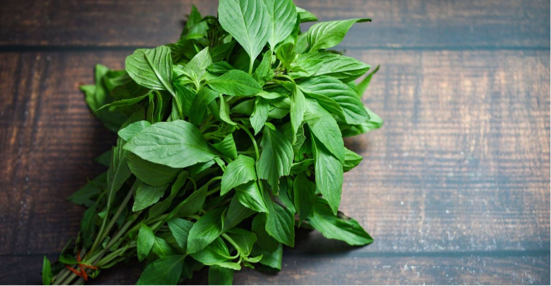 Thai Basil