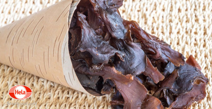 Portabella Jerky