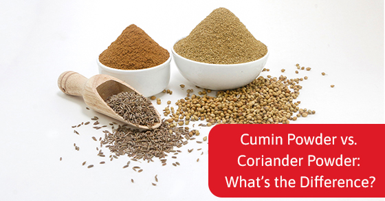 Quelle est la différence entre le cumin et la coriandre en poudre ?