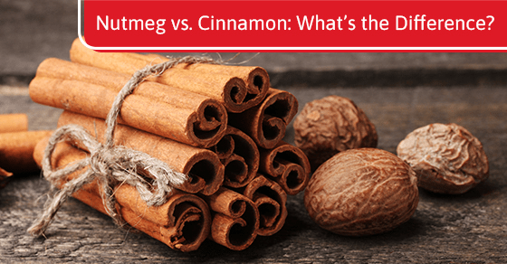 What’s the difference between nutmeg and cinnamon?