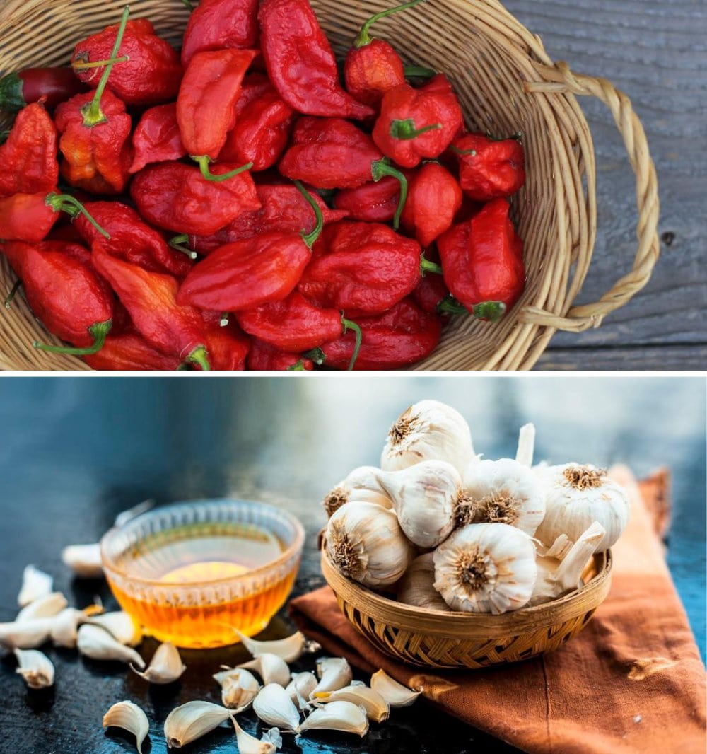 Ghost Pepper And Honey Garlic