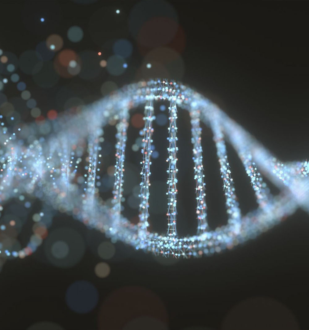 A new era in gene editing