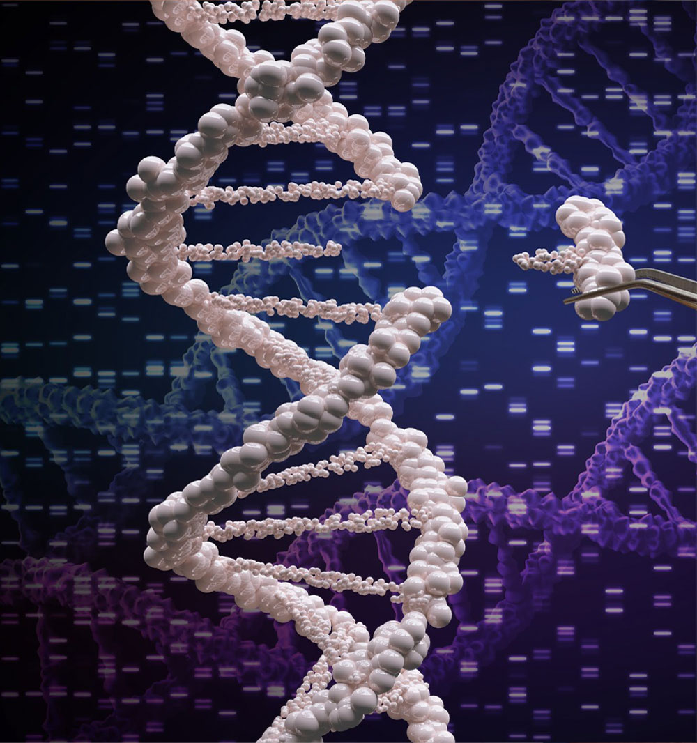 Dna strip