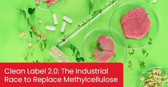 Clean label 2.0 : la course industrielle pour remplacer la méthylcellulose
