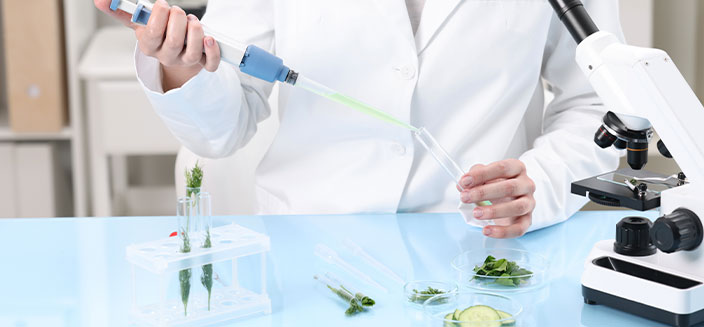 Food Product Development