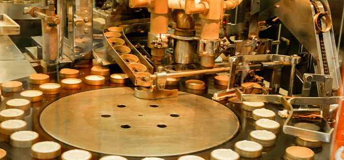 Seasoning Manufacturing