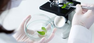 New Product Development (NPD)